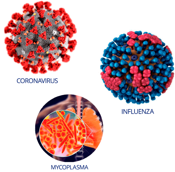 Coronavirus nCoV VS Influenza A y B VS Mycoplasma Pneumoniae
